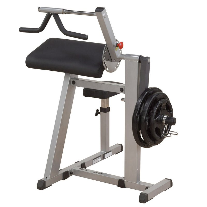 Body-Solid Biceps & Triceps Machine GCBT380 –