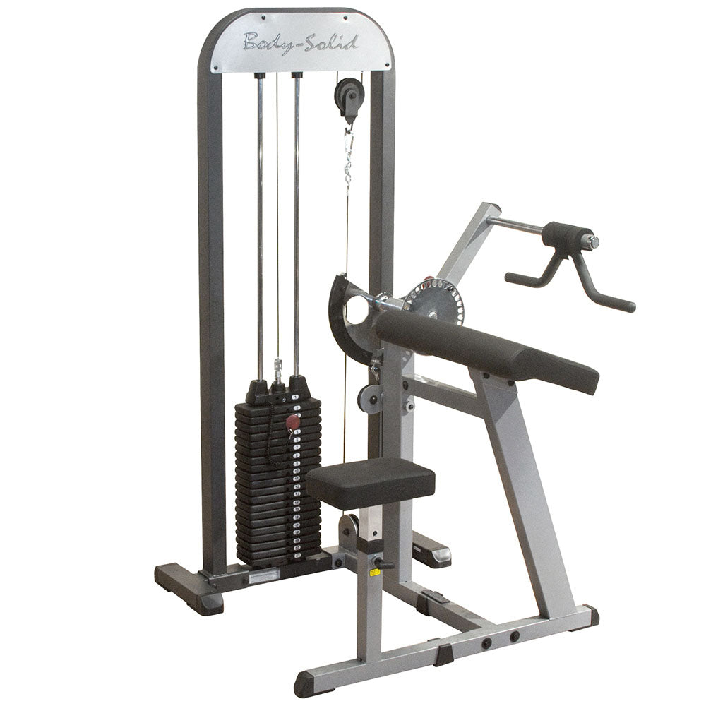 Proselect Selectorized Biceps & Triceps Machine GCBT-STK –