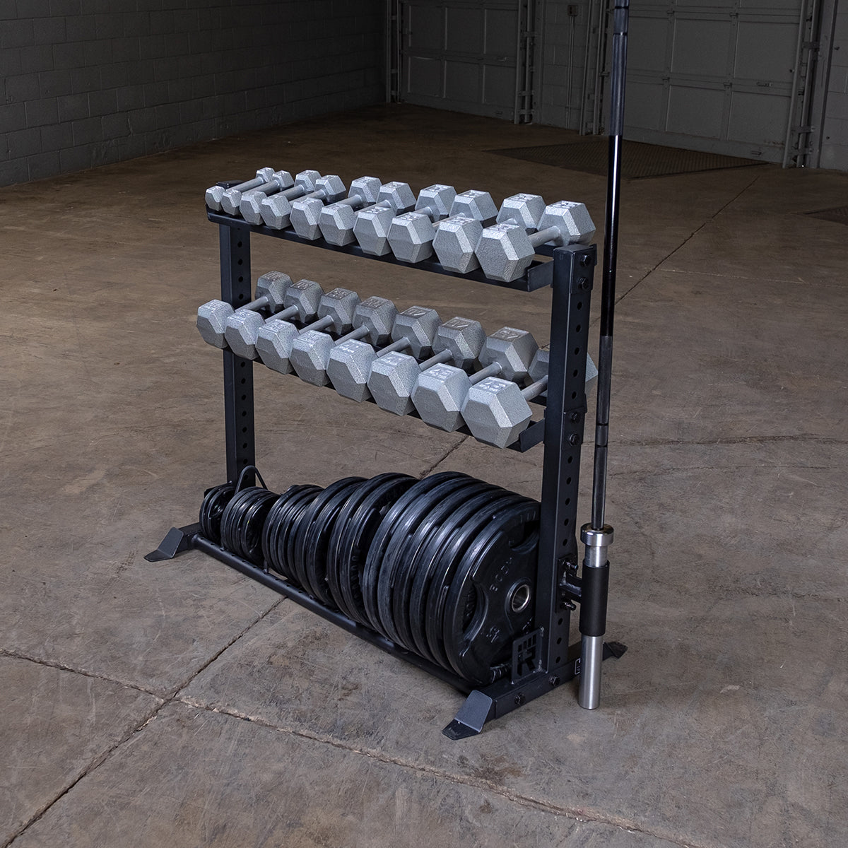 Rugged Combination Weight Plate Dumbbell Rack Y420 Bodytrading